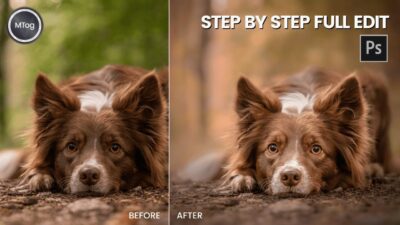 FULL EDIT: Dog Photography Photoshop Tutorial from start to finish!