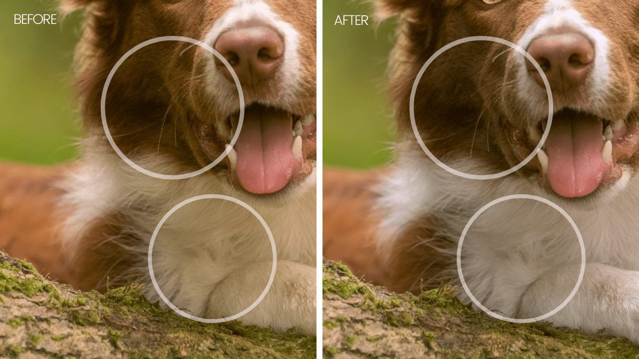 how to remove colour casts in photoshop