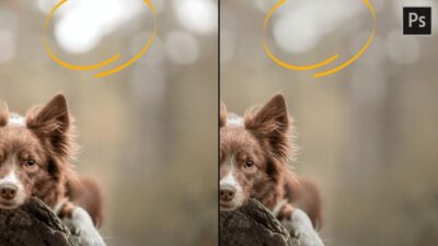 How to calm down bright bokeh