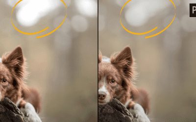 How to calm down bright bokeh