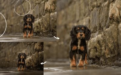 How to remove things in Photoshop