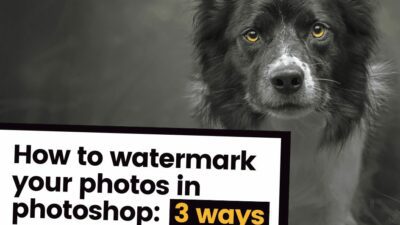 How to add watermarks to photos in Photoshop
