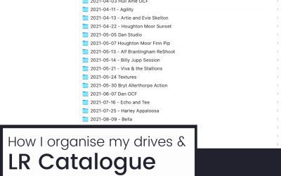 How to organise your files & catalogues