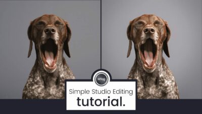 Simple Studio Full Edit