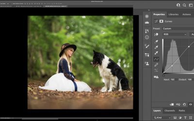 Curves in Photoshop: The 10 Basic Adjustments