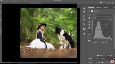 Curves in Photoshop: The 10 Basic Adjustments