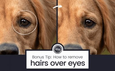 How to remove hairs over eyes