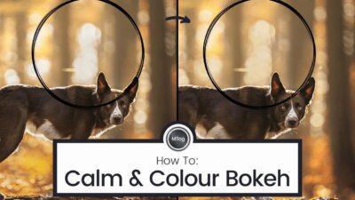 How to re-colour & calm down light bokeh