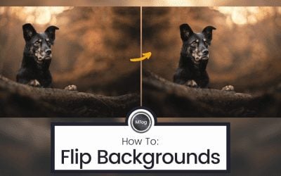 How to flip backgrounds in Photoshop