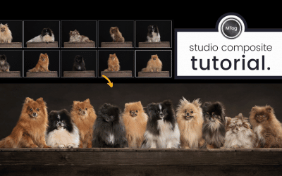 How to do Multi-Image Studio composites