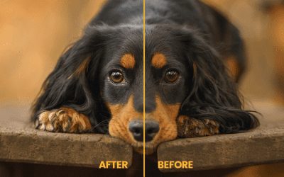 How to retouch eyes in Photoshop
