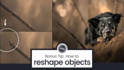 How to reshape objects in Photoshop