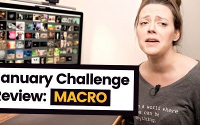 January Challenge Review: Macro
