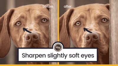 MTog Bonus: How to sharpen slightly soft eyes