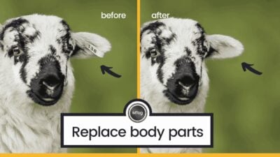 MTog Bonus: How to switch body parts in Photoshop
