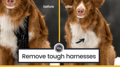 MTog Bonus: How to remove tricky harnesses