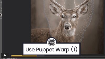 MTog Bonus: How to straighten wonky things – Puppet Warp