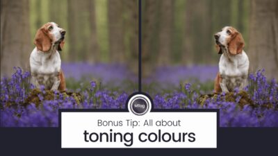MTog Bonus: Toning colours