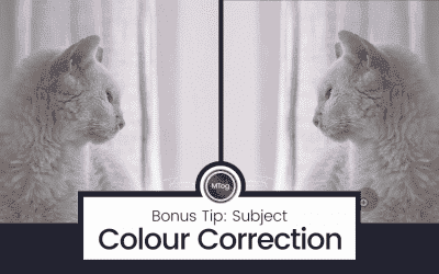 MTog Bonus: Subject Colour Correction