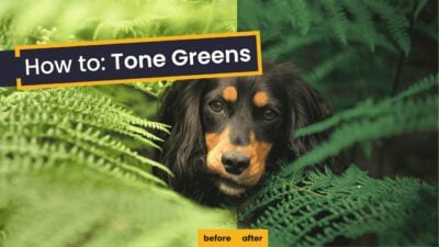 How to tone greens (because they suck)