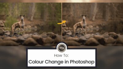 MTog Bonus: How to colour change in Photoshop