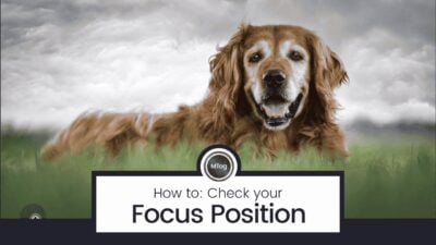 MTog Bonus: How to check the position of your focus in an image