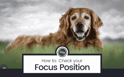 MTog Bonus: How to check the position of your focus in an image