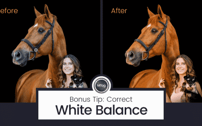 MTog Bonus: The Importance of Correct White Balance