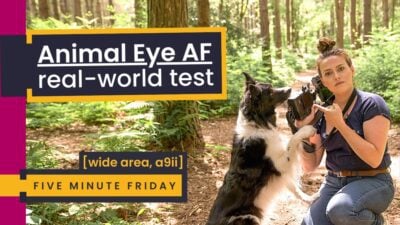 Animal Eye-AF test for Dog Photography