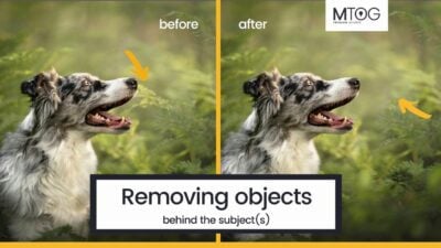 MTog Bonus: How to remove objects from behind subject(s)