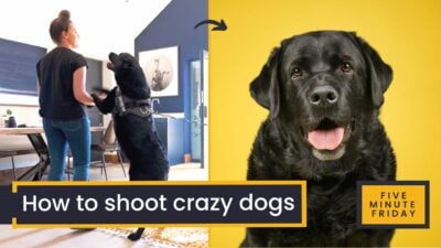 How to shoot boisterous dogs