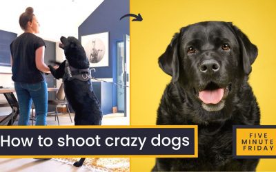 How to shoot boisterous dogs