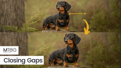 MTog Bonus: How to close gaps in images