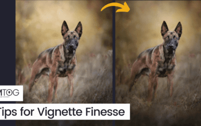 MTog Bonus: Tips for Vignette Finesse