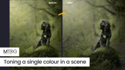 MTog Bonus: Toning a single colour in a scene